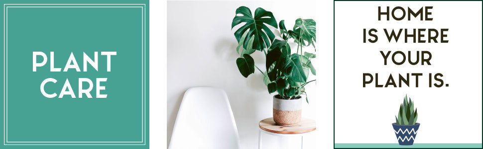 The Little Book for Plant Parents: Simple Tips to Help You Grow Your Own Urban Jungle Hardcover – October 12, 2021