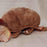 Plush -  First Main Armadillo -stuffed animal  NEW!