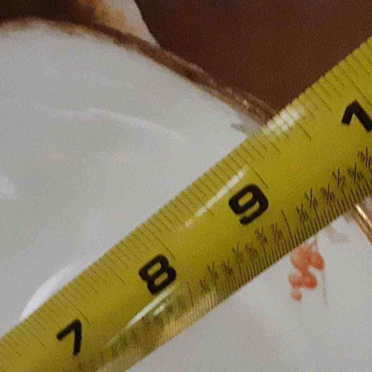 Vintage gold handle scallop edge bowl