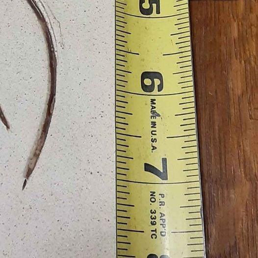 Cross -  Cross with Doves and hearts   NEW!