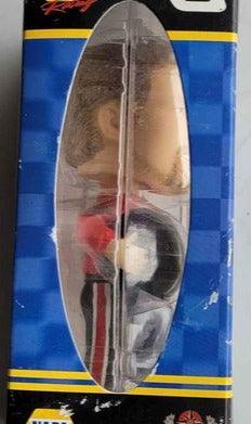 Home Decor - Dale Earnhardt Jr Bobblehead