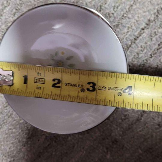 Kitchen Johann Haviland Bavaria Germany plates