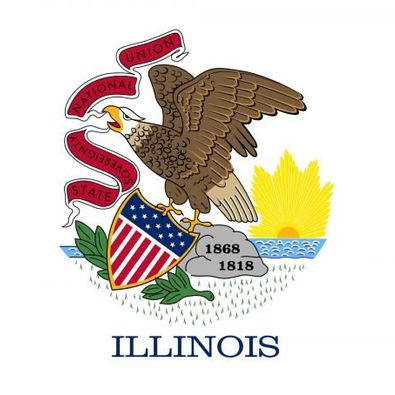 Flag - Illinois 3 x 5 Flag