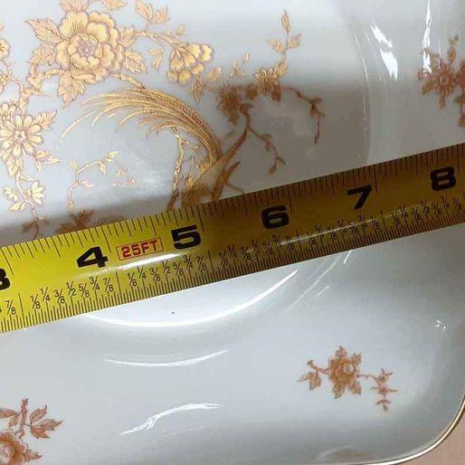 Vintage - Exclusivite Chamart limoges Bird of Paradise bowl