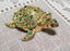 Jewelry Turtle Trinket Dresser Box